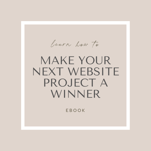 "Make Your Next Website Project a Winner" Ebook