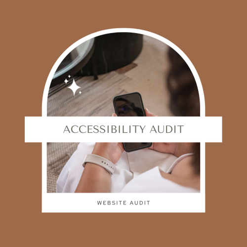 Website Accessibility Audit